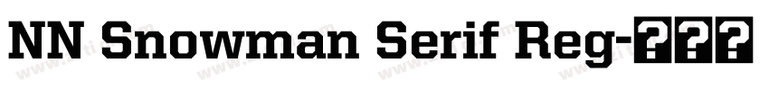 NN Snowman Serif Reg字体转换